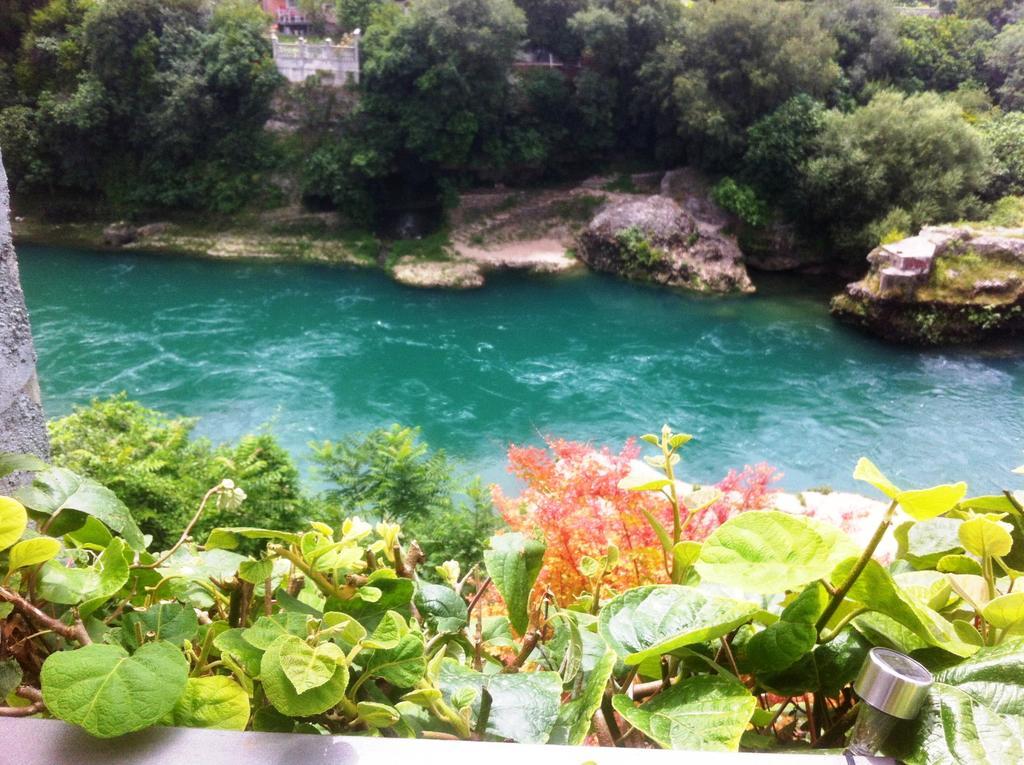 Elite Guest House Mostar Rum bild
